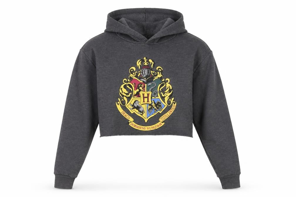 Harry Potter Women's Grey Long Sleeve Hoodie, Size L