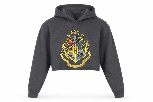 Harry Potter Women's Grey Long Sleeve Hoodie, Size L