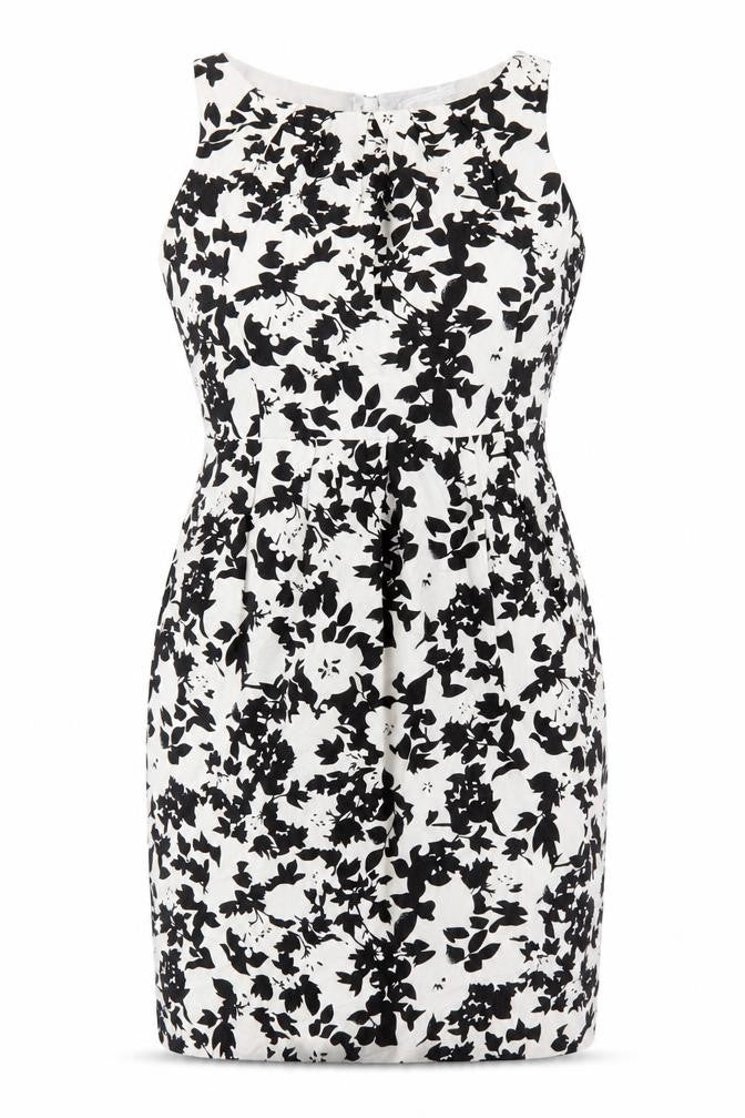 Amaranté Women's Black & White Floral Sheath Dress Size 8