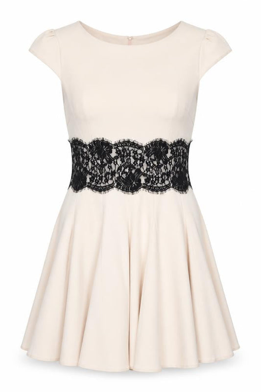 AX Paris Women's Beige Sleeveless Lace Skater Dress