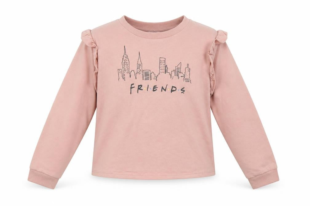 F.R.I.E.N.D.S Women's Pink Pullover Sweatshirt Size 14