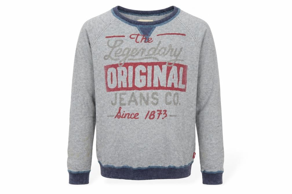 Levi's Boys Grey Pullover Jumper 14 Years, Graphic Print