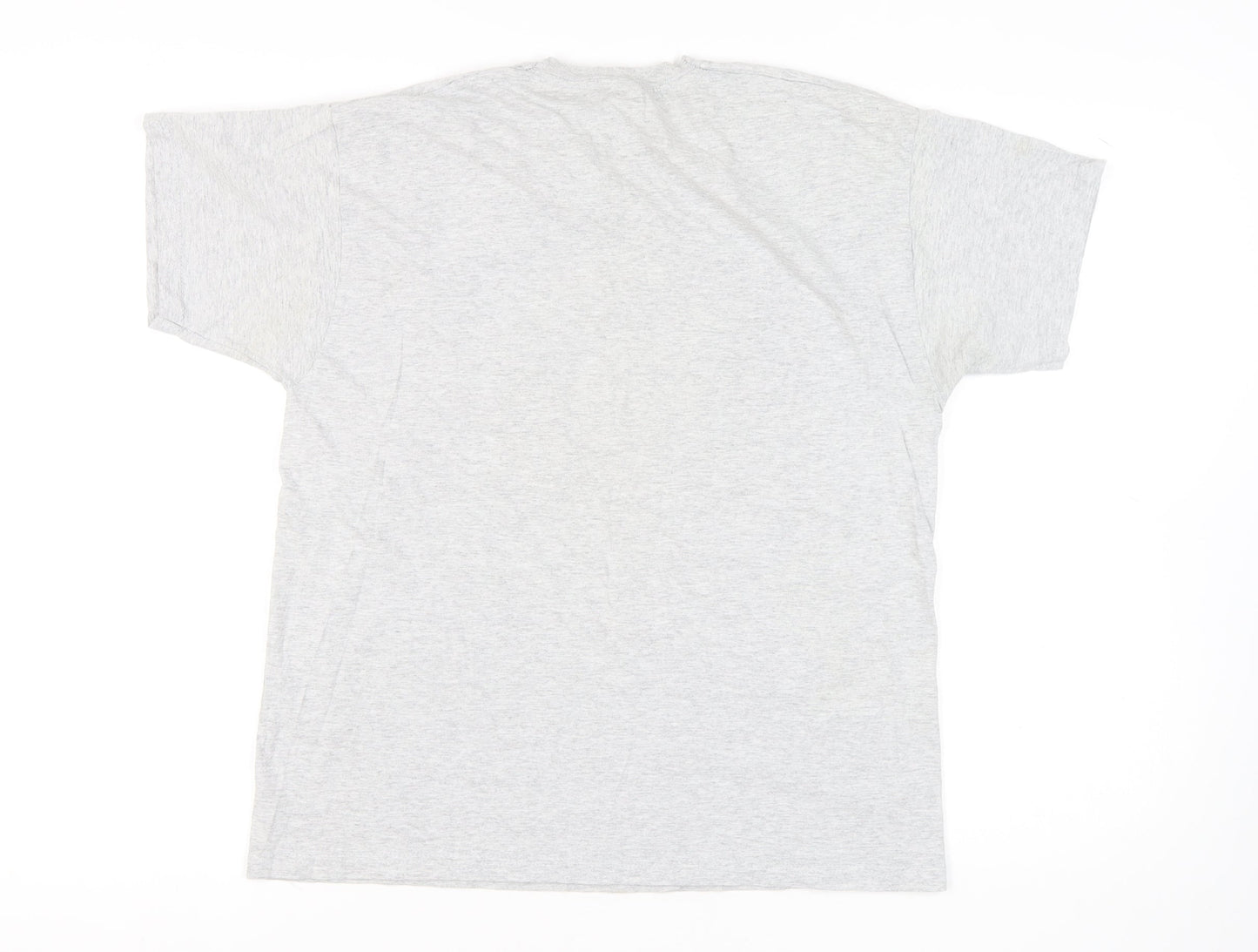 Fruit of the Loom Men's Grey Graphic Print T-Shirt, L