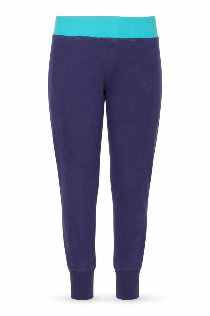 Adidas Women Blue Jogger Gym Pants