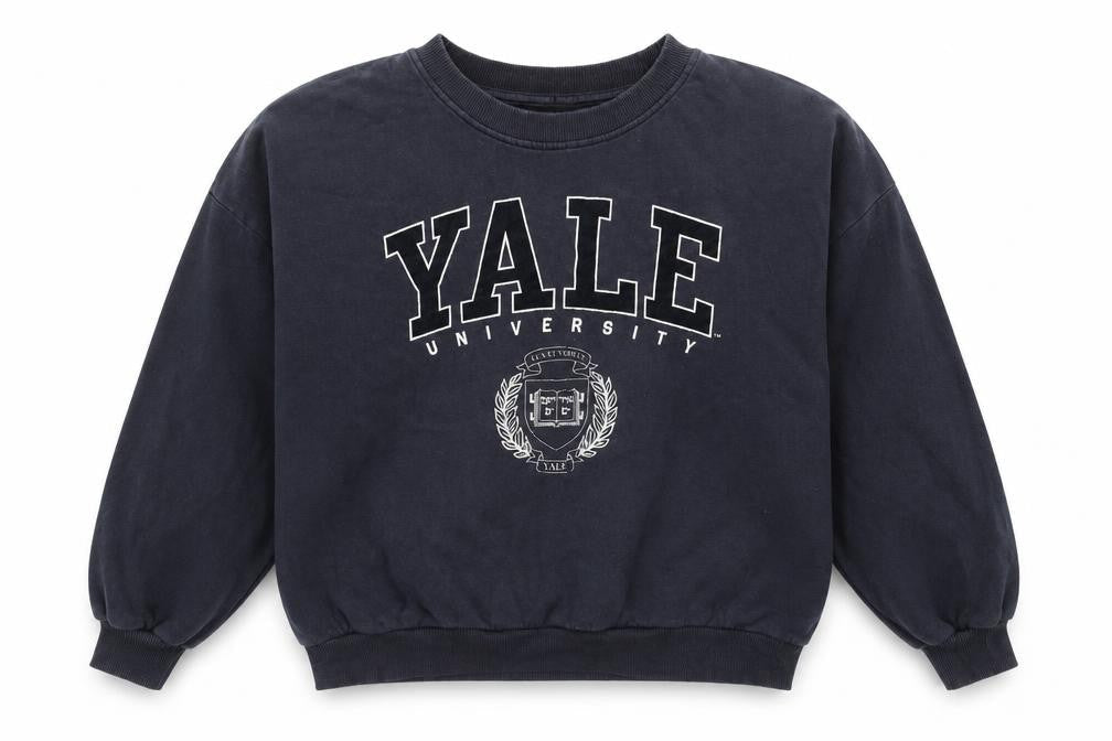 H&M Unisex Blue M Yale Logo Pullover Sweatshirt