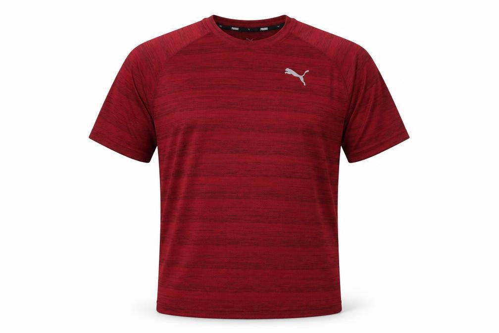 Puma Men's Red Gym & Training T-Shirt, Size S