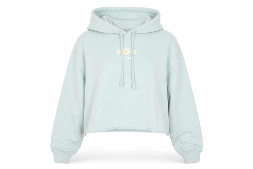 Hollister Women's Green Pullover Hoodie in 2XS