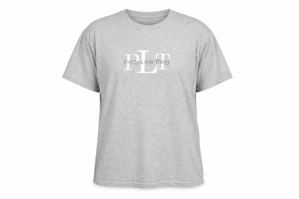 PRETTYLITTLETHING Women’s Grey T-Shirt L Casual