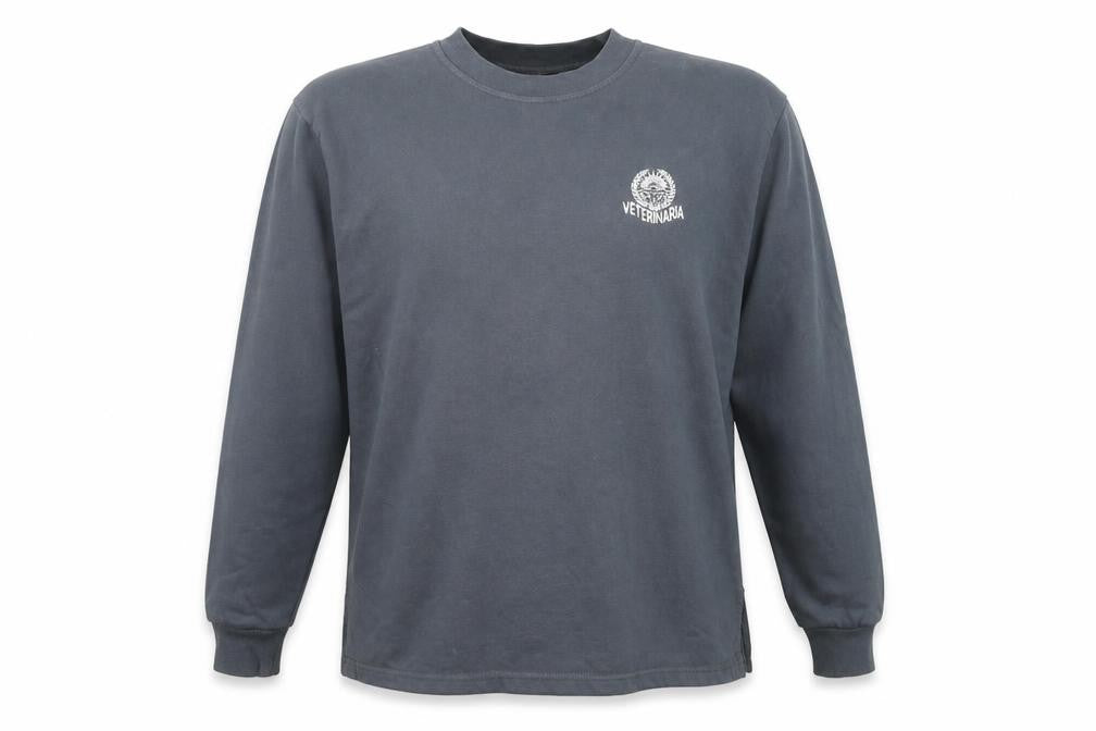 Rapife Men's Grey Pullover Graphic Sweatshirt - S