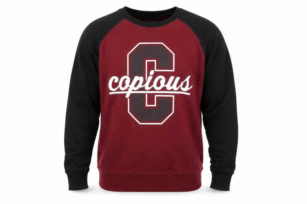 Copious Men’s Multicoloured L Sweatshirt Pullover Graphic Print