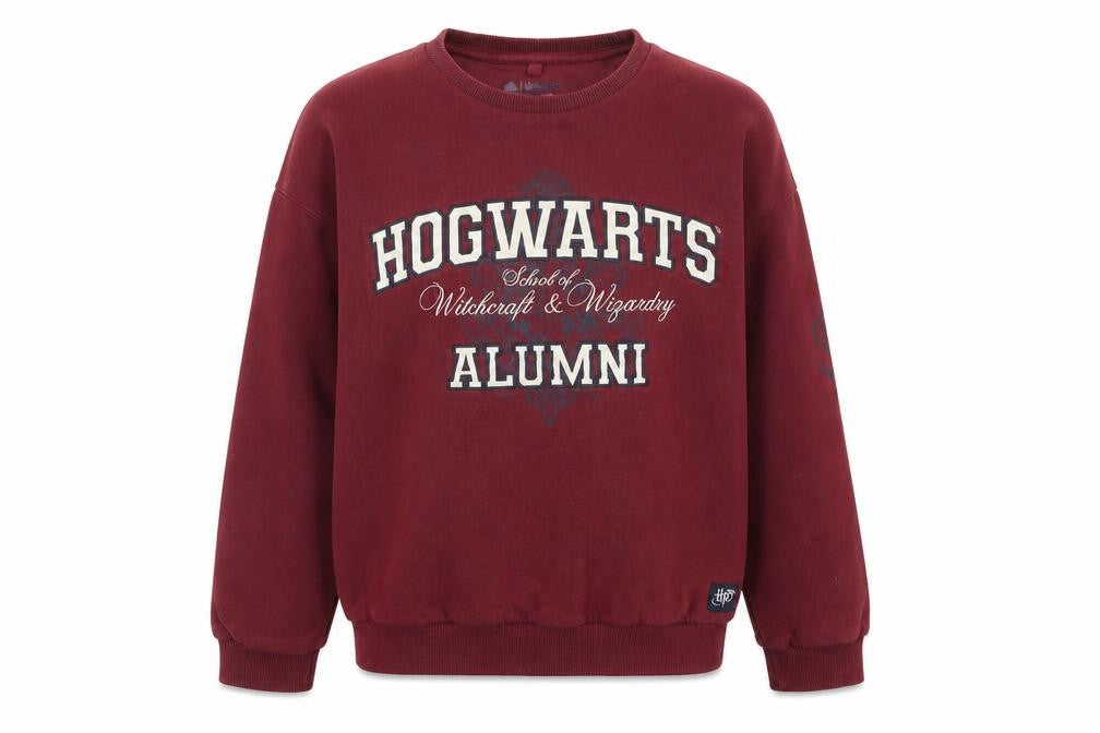 Marks & Spencer Boys Red Harry Potter Alumni Sweatshirt 11-12Y Pullover