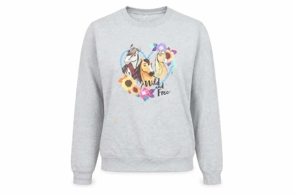 Port & Company DreamWorks Spirit Womens Grey Small Pullover Sweatshirt
