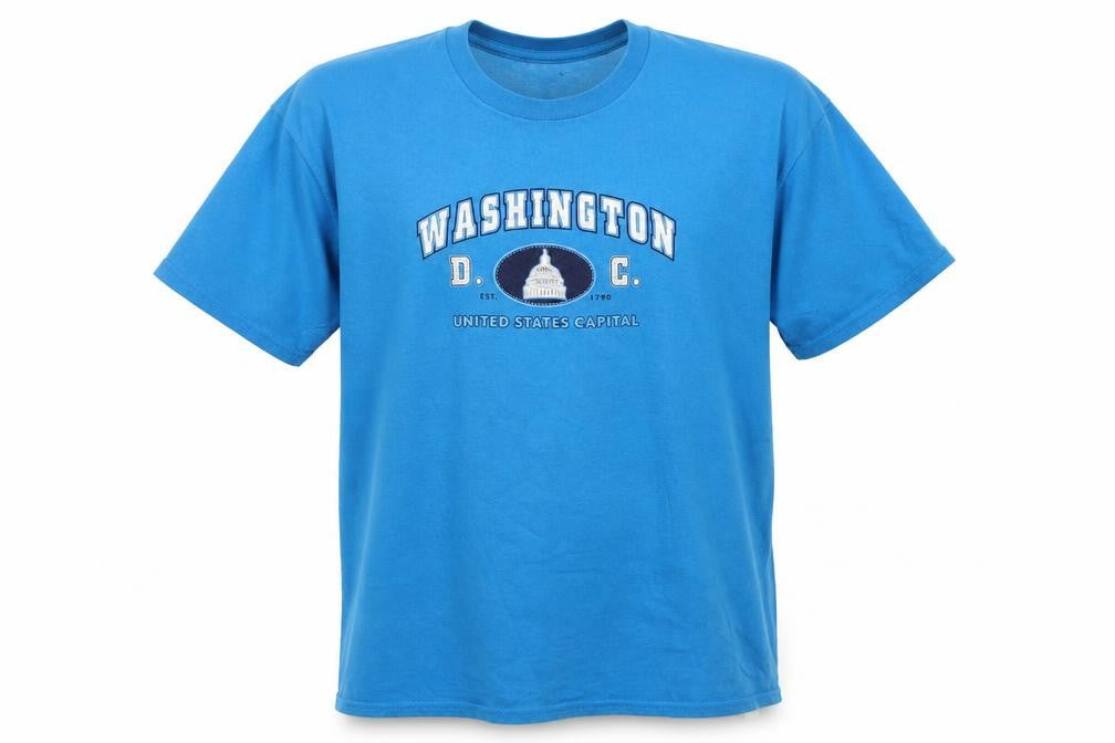 Delta Pro Weight Boys Blue Washington D.C. Graphic T-Shirt Size L