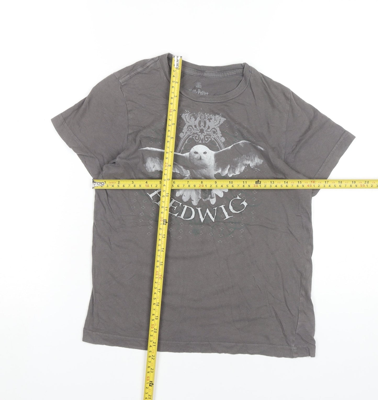 Harry Potter Teens Grey 100% Cotton Hedwig Graphic T-Shirt Size 10