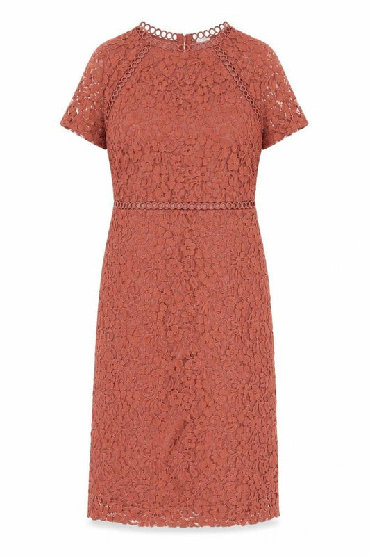 Next Women’s Brown Lace Sheath Dress Size 10 V-Neck Wedding Party