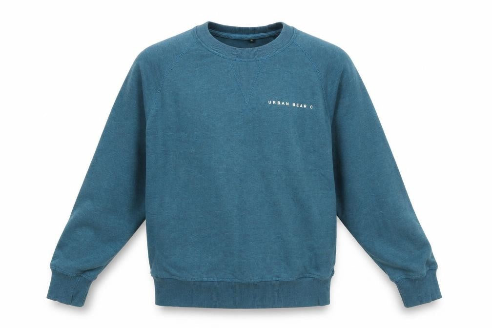 Urban Bear Co Men’s Blue Small Pullover Sweatshirt Crew Neck