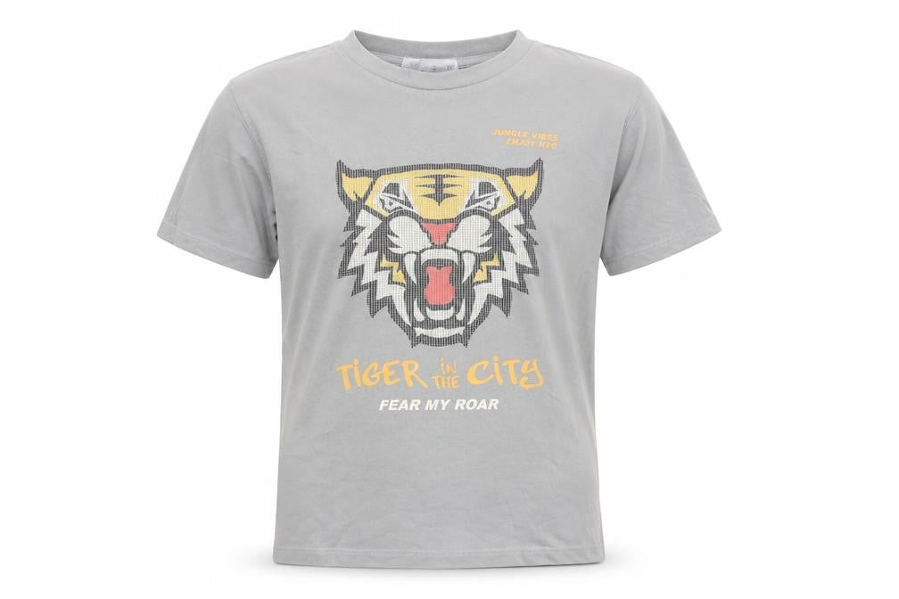 Zara Boys Grey Tiger Graphic T-Shirt 10 Years Short Sleeve Cotton