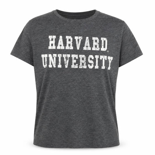 American Freshman Women’s Grey Harvard University T-Shirt Size 10