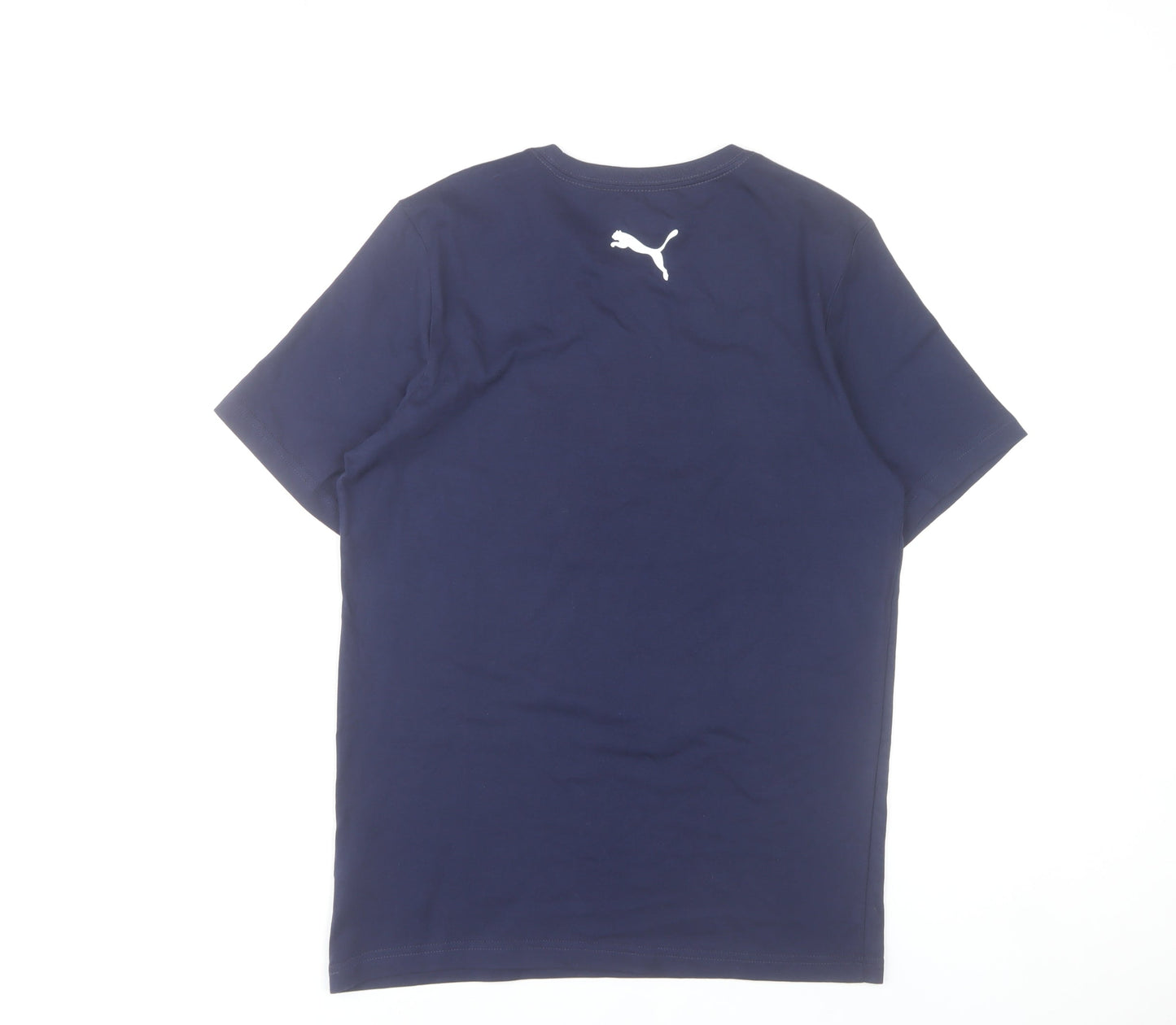 Puma Manchester City Men's Blue Small Champions Graphic T-Shirt