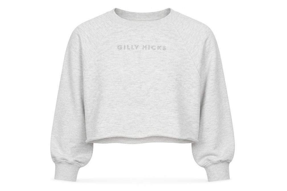 Gilly Hicks by Hollister Womens Grey XS Cropped Sweatshirt