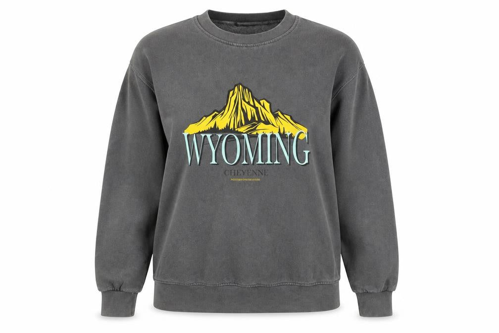 PRETTYLITTLETHING Women Grey XS Wyoming Graphic Pullover Sweatshirt