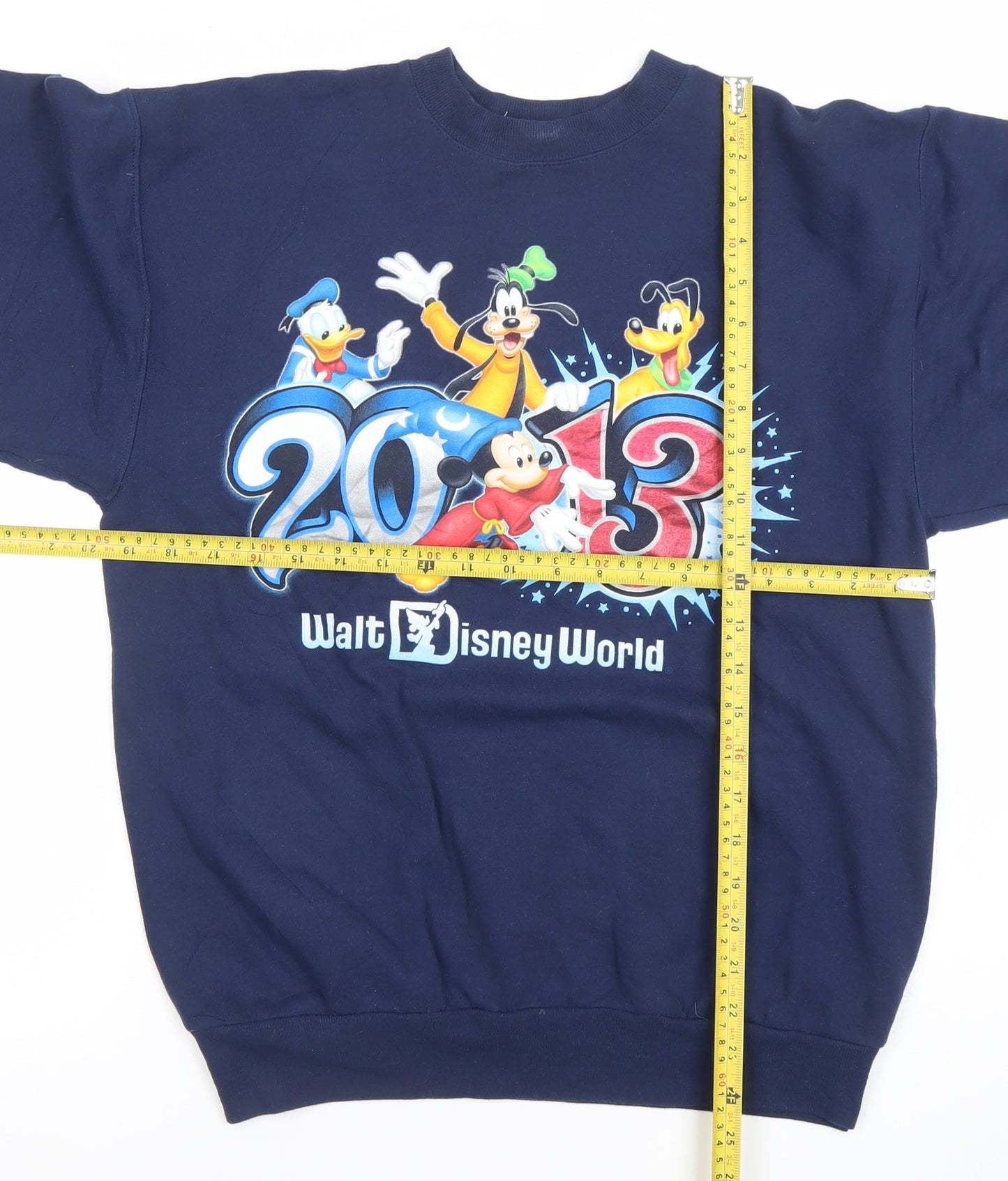 Hanes Men's Blue Walt Disney World 2013 Pullover Sweatshirt S
