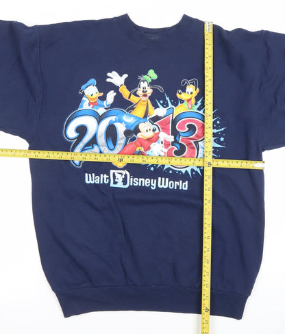 Preloved Hanes Men's Blue Walt Disney World 2013 Pullover Sweatshirt S - Back