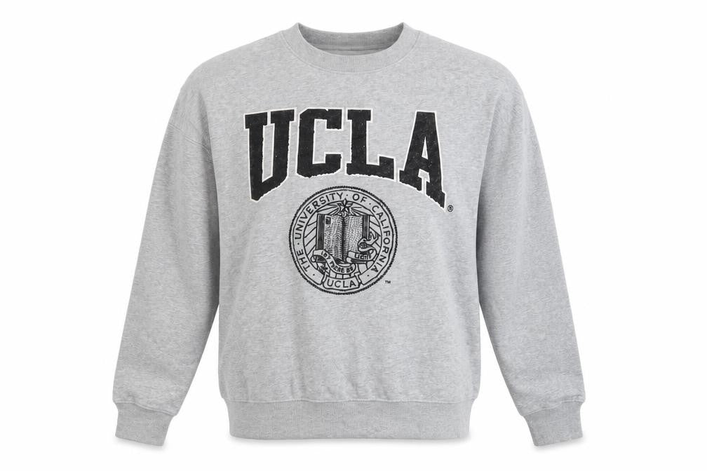 H&M UCLA Grey Crew Neck Sweatshirt Men Small Classic Logo Print