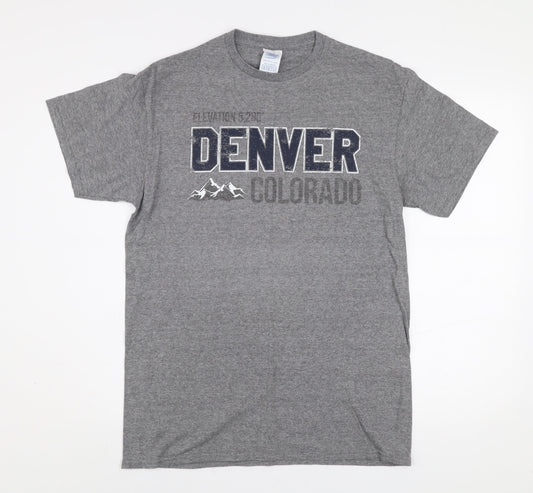 Delta Men’s Grey Denver Colorado Graphic Cotton Blend T-Shirt M
