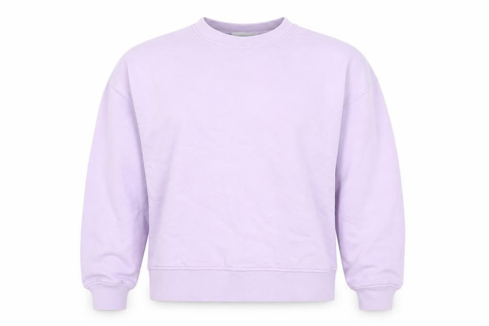 JXRX Womens Lilac Pullover Sweatshirt XS Cotton Casual