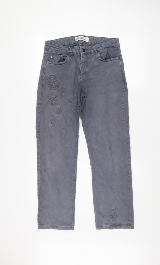 Dolcezza Womens Grey Straight Stretch Jeans Size 6 Embroidered Denim