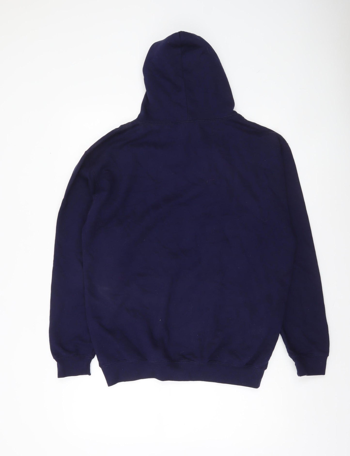 Just Hoods Men’s Blue Pullover Hoodie M Funny Evolution Graphic Print