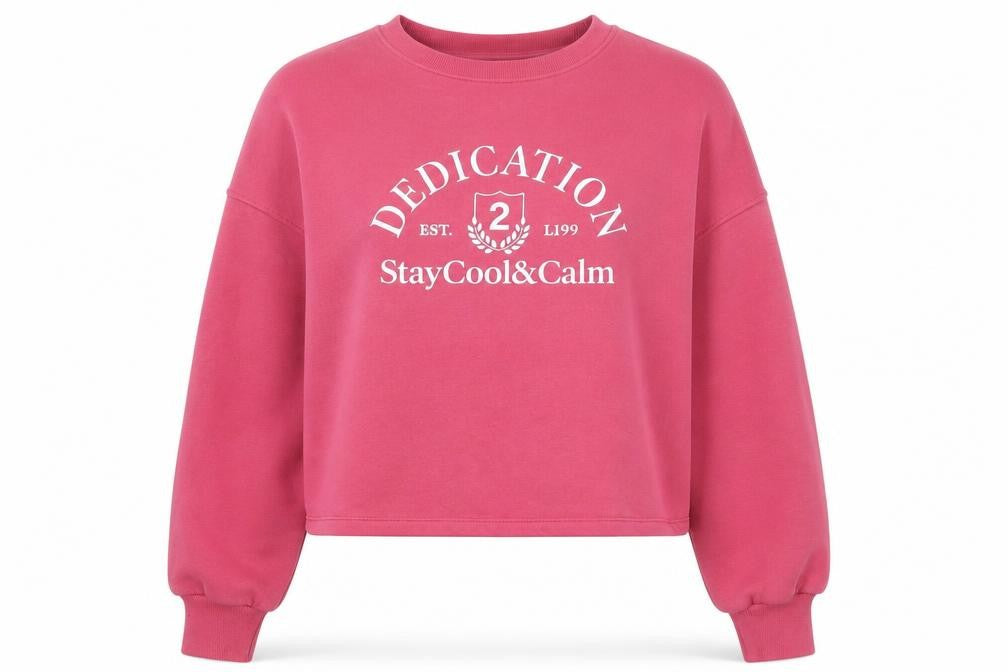 H&M Divided Women’s Pink Pullover Sweatshirt L Crew Neck Long Sleeve