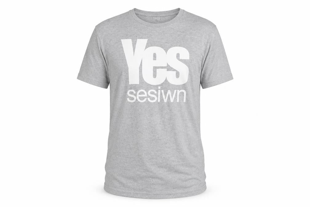 B&C Collection Men's Grey Yes Sesiwn Graphic Cotton T-Shirt M