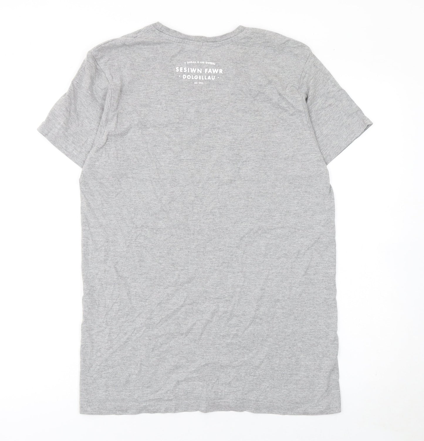 B&C Collection Men's Grey Yes Sesiwn Graphic Cotton T-Shirt M