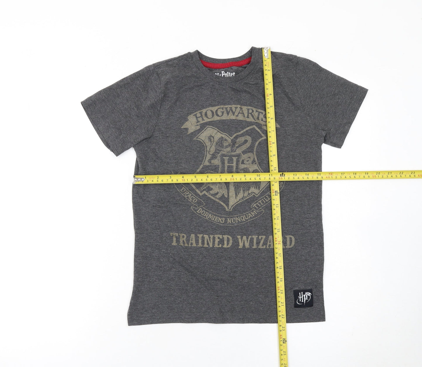 Harry Potter Boys Grey Hogwarts Graphic T-Shirt 10-11 Years Casual Cotton Blend