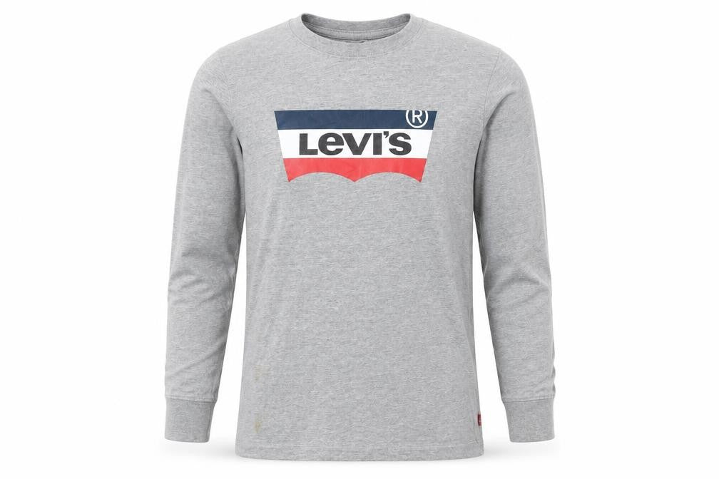 Levi's Boys Grey Long Sleeve Logo T-Shirt Size 14 Years
