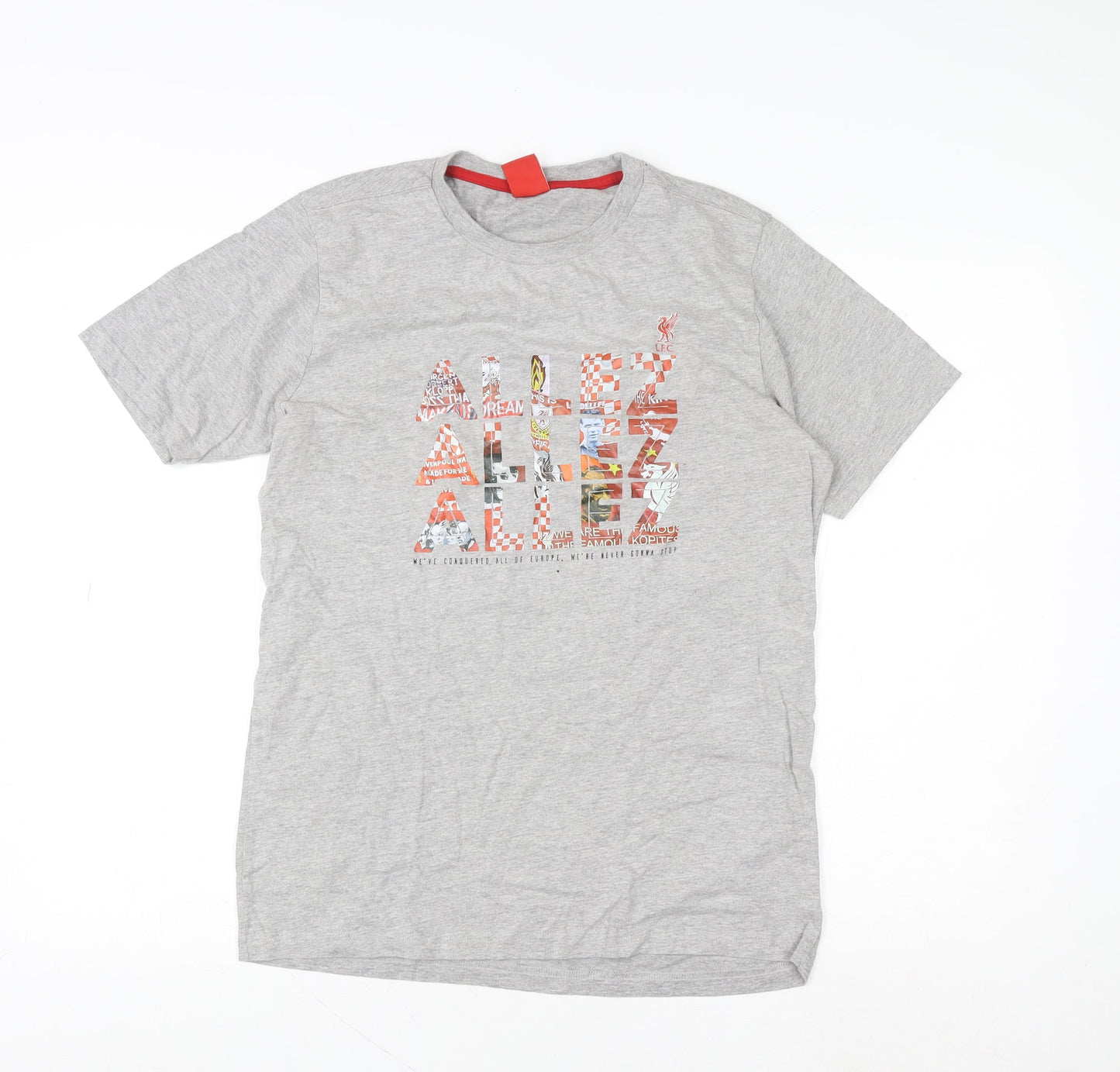 Liverpool FC Men's Grey Graphic Short Sleeve T-Shirt Small