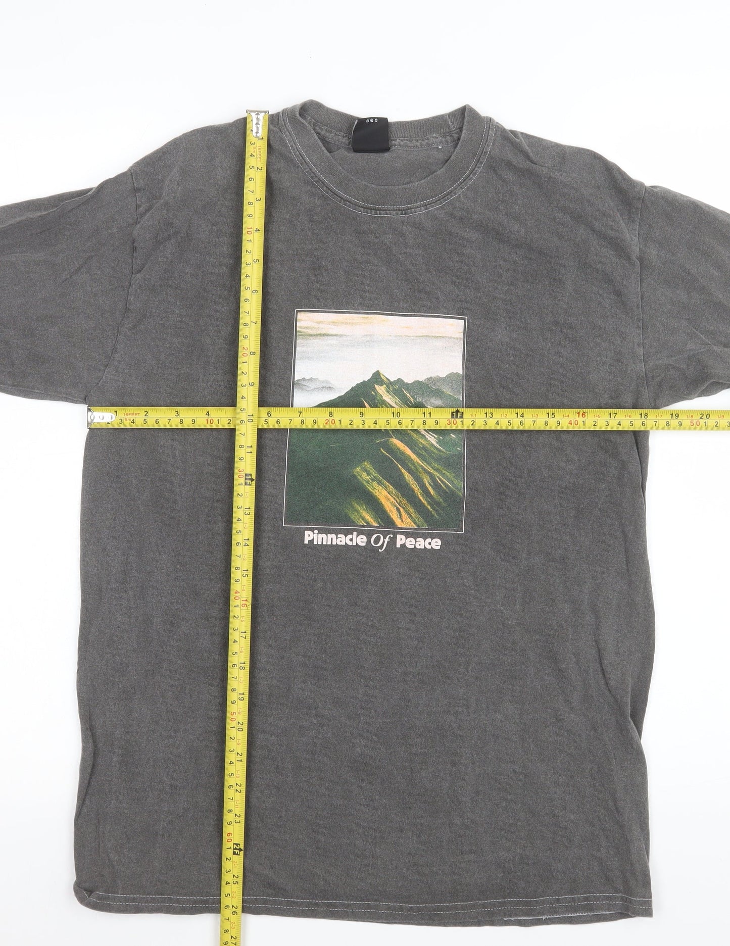 Urban Outfitters Womens Grey Long Sleeve Graphic T-Shirt XS