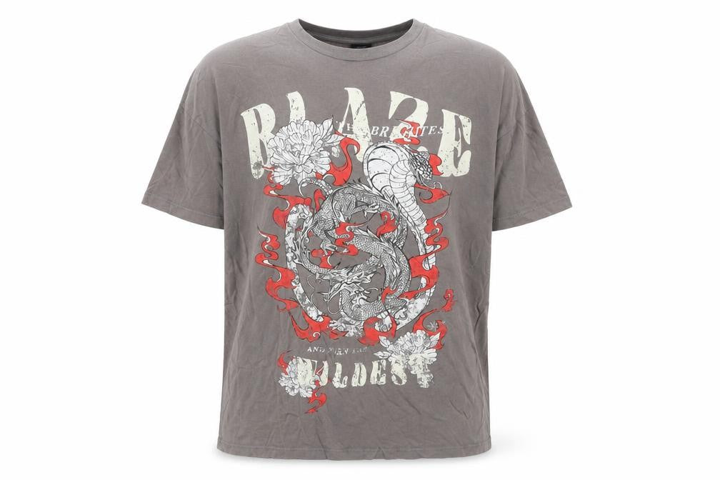 Bershka Men's Grey Dragon Graphic Short Sleeve T-Shirt Size S