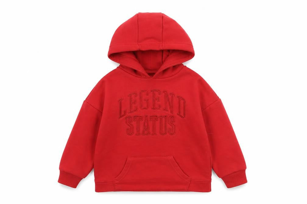 Primark Boys Red Pullover Hoodie 3 Years Legend Status Cotton Blend