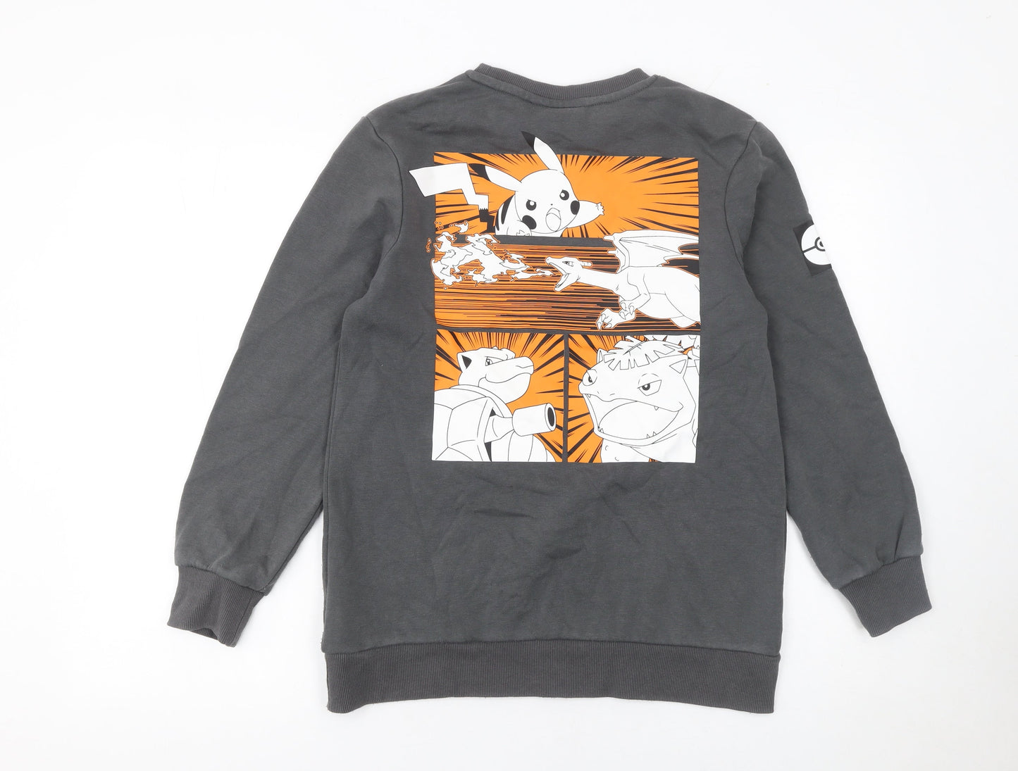 Pokémon Boys Grey 12-13 Years Pullover Sweatshirt Graphic Print Charizard