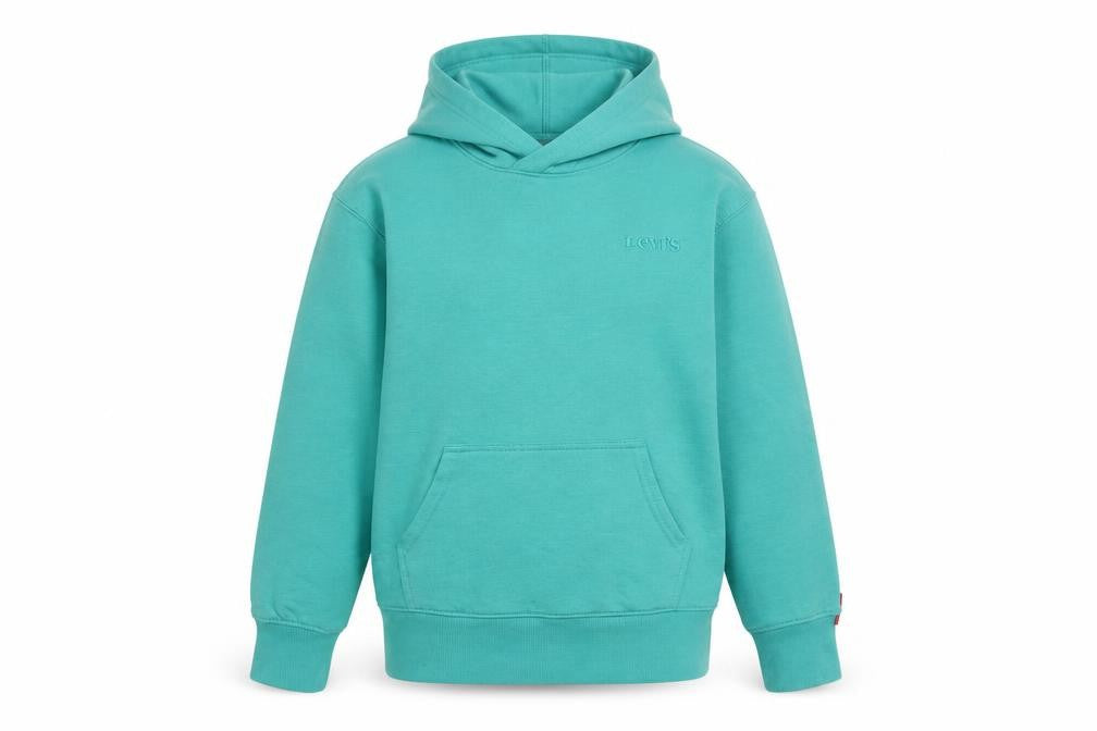 Levi's Boys Green Pullover Hoodie 9-10 Years Cotton Blend Logo Sweatshirt