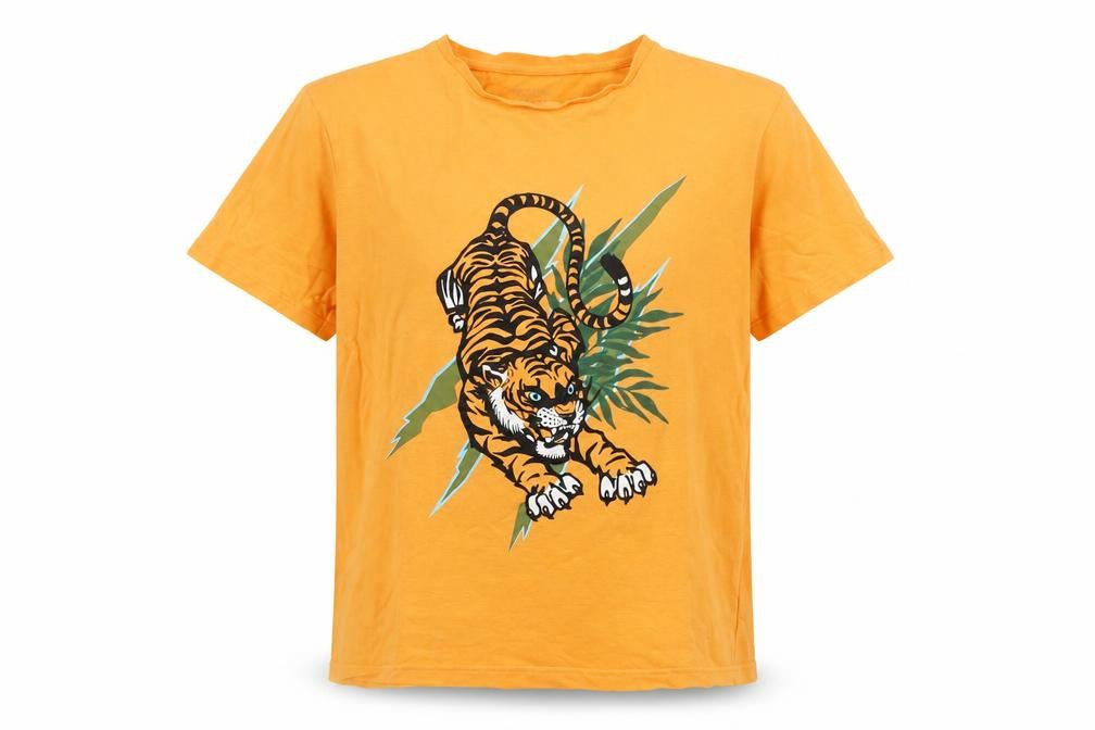 Primark Boys Orange Tiger Graphic Cotton T-Shirt 13-14 Years