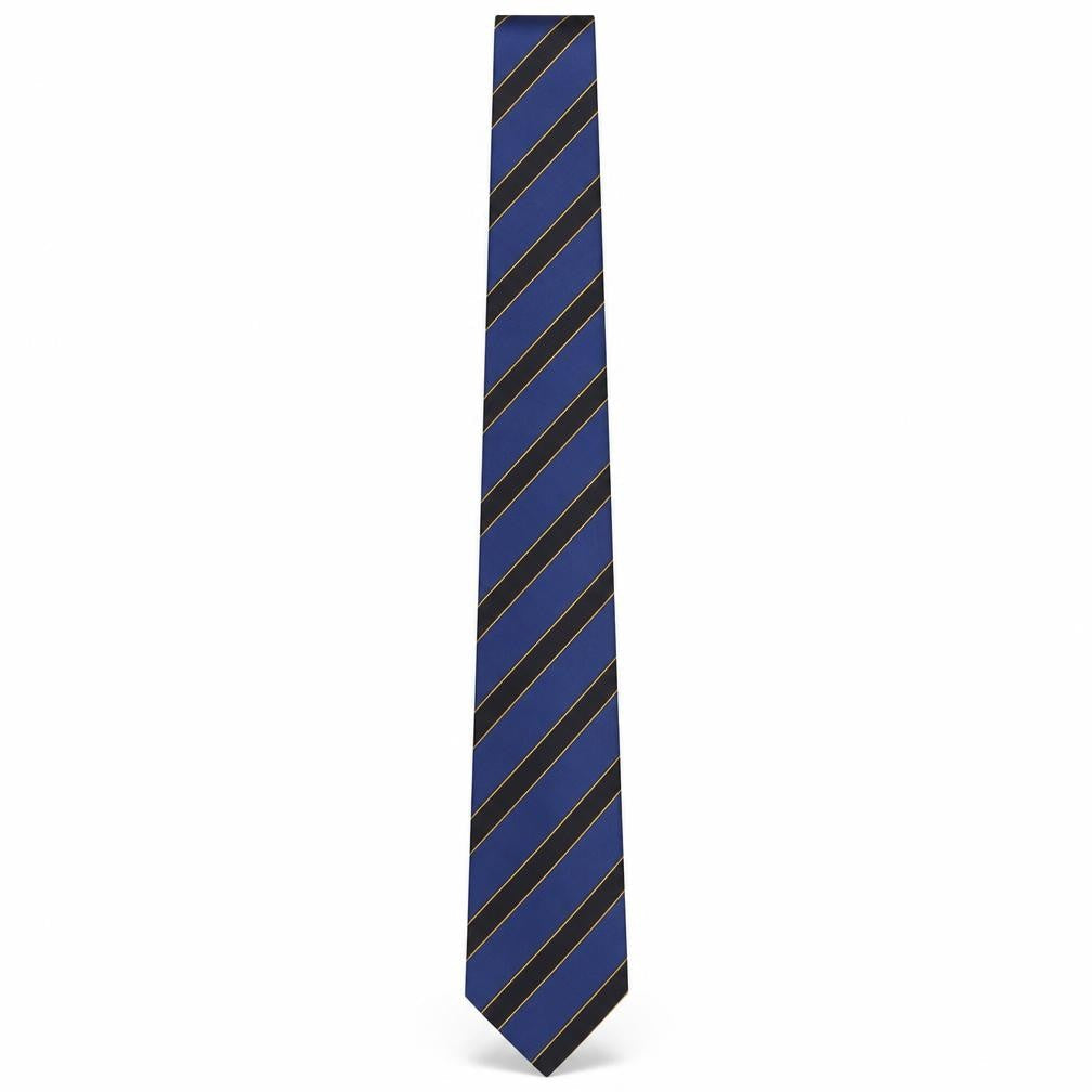 Carlo Colombo Men's Blue Striped Silk Slim Tie Made in Italy