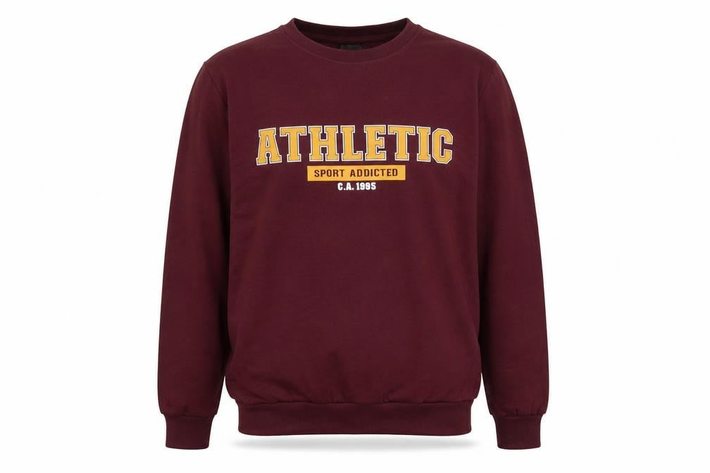 Alphar One Men's Brown Athletic Graphic Sweatshirt L Crew Neck