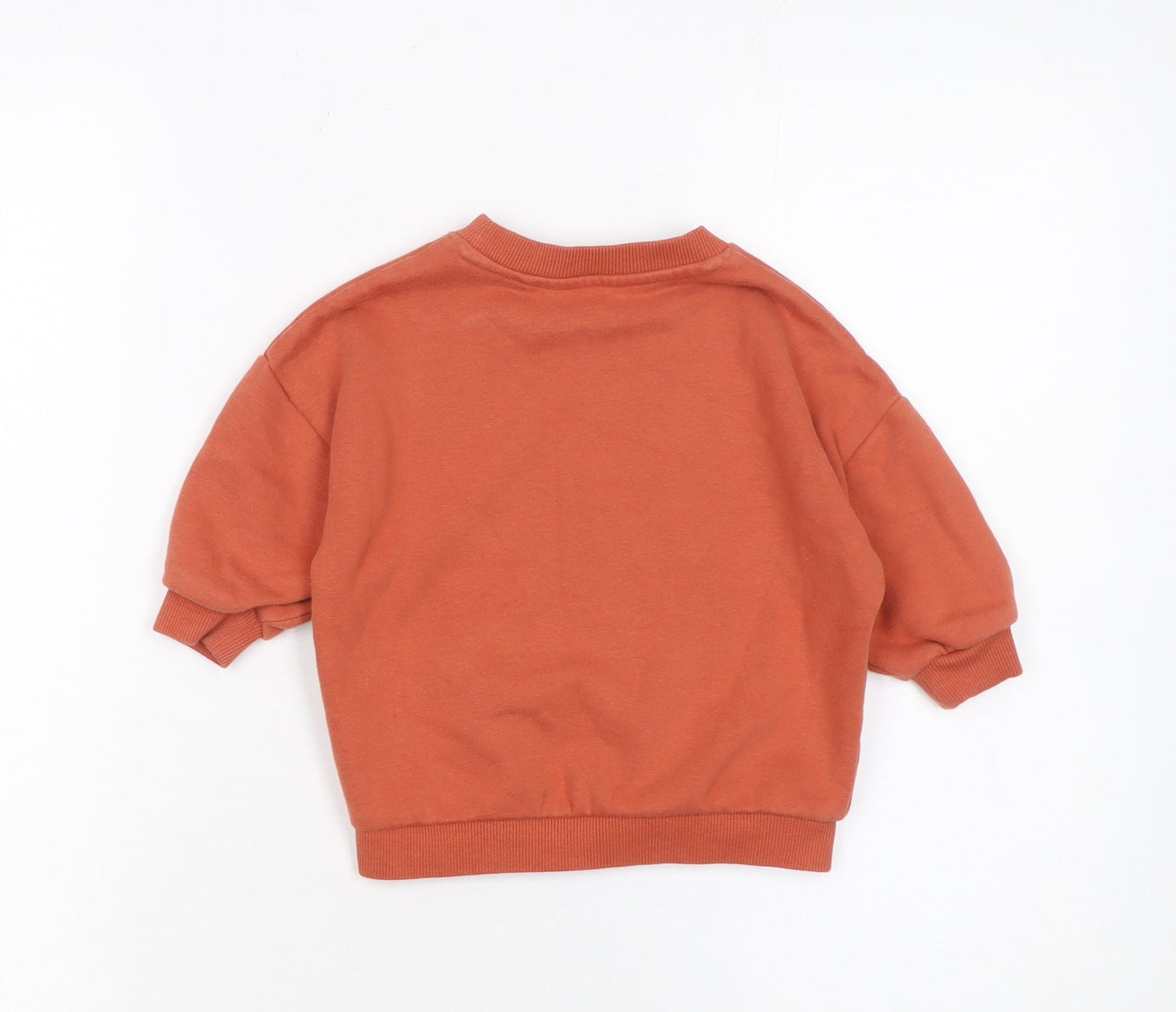 Next Unisex Baby Brown Graphic Print Pullover T-Shirt 9-12 Months