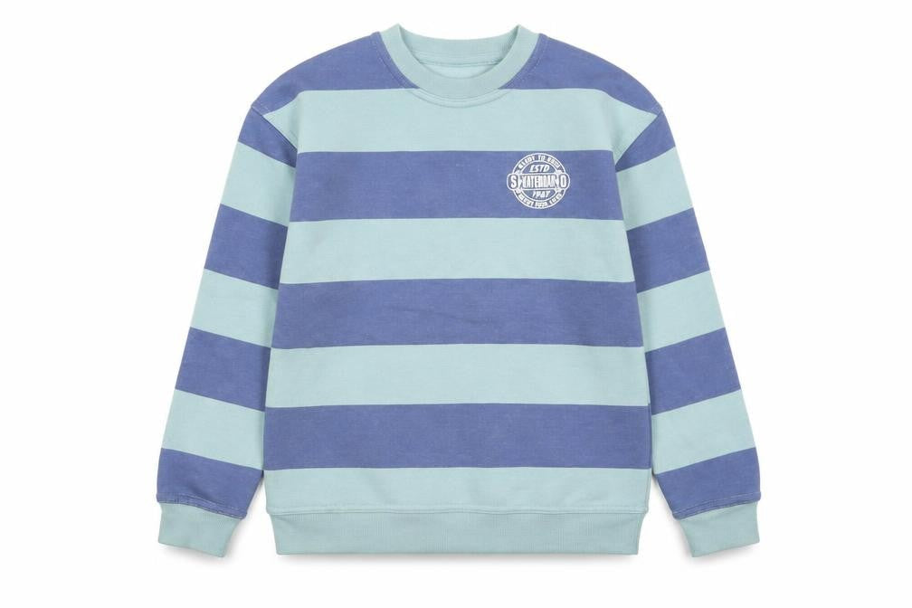 Dunnes Stores Boys Blue Striped Pullover Sweatshirt 9-10 Years Skateboarding Print