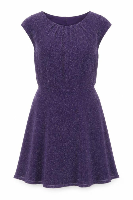 Dorothy Perkins Women’s Purple Glitter Fit & Flare Dress Size 8