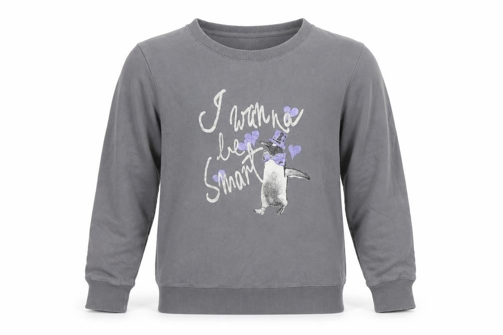 Bossini Boys Grey Penguin Graphic Long Sleeve Pullover Sweatshirt L